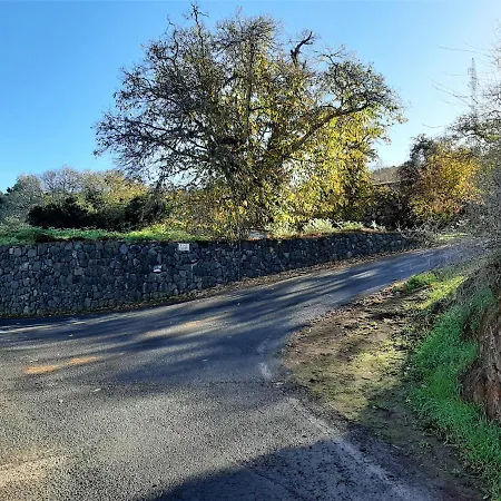 Σπίτι διακοπών Casa Nogal La Matanza De Acentejo