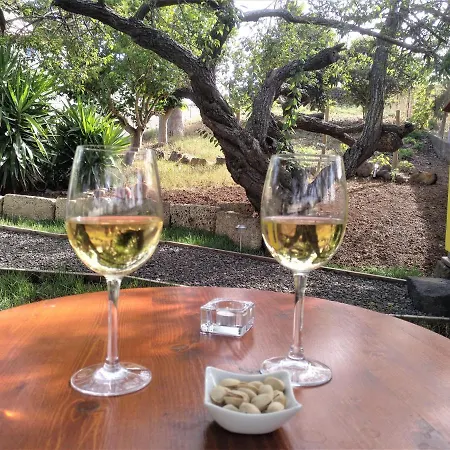 Casa Nogal Casa de Férias La Matanza De Acentejo