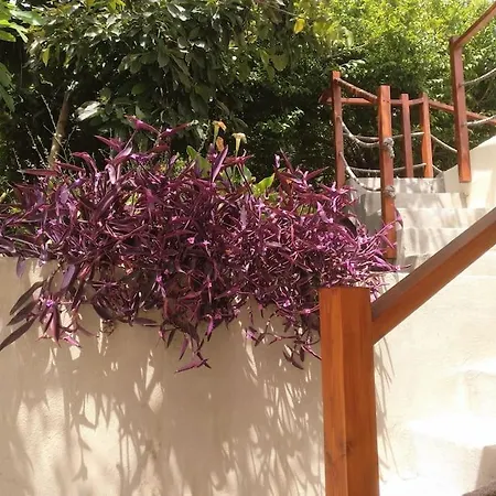 Casa de Férias Casa Nogal *